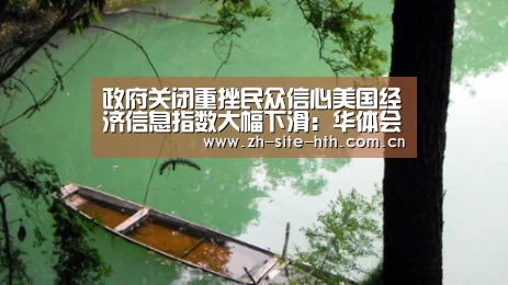 政府关闭重挫民众信心美国经济信息指数大幅下滑:华体会棋牌(图3) 华体会app